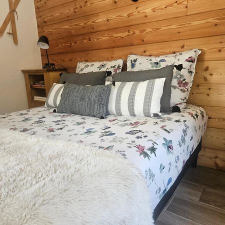 Studio A 100 Metres Du Depart Des Pistes De Ski La Salle-les-Alpes Eksteriør billede